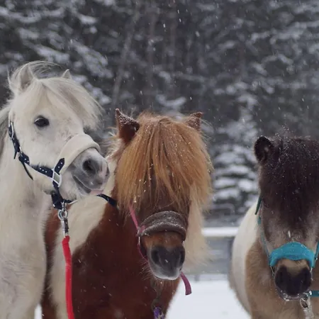 Lieblingsplatzl Neustift im Stubaital
