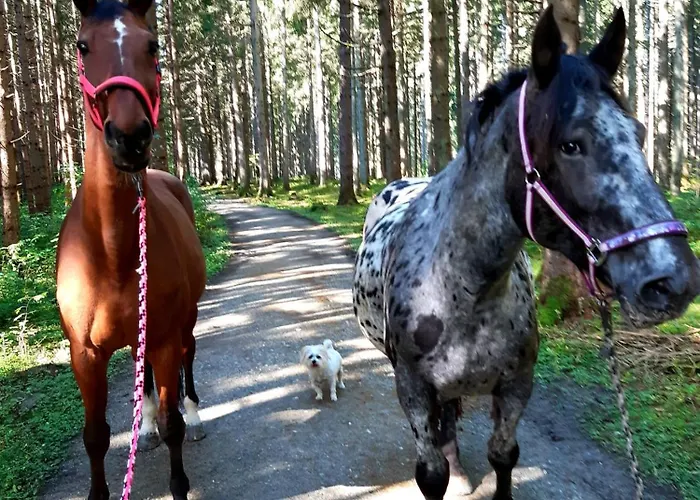 דירה Lieblingsplatzl ניוסטיפט אים סטובאיטל