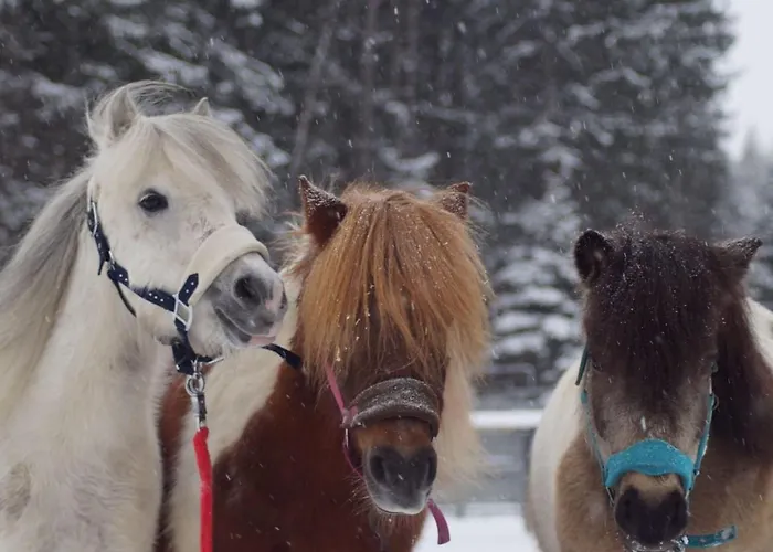 Lieblingsplatzl ノイシュティフト・イム・シュトゥーバイタール